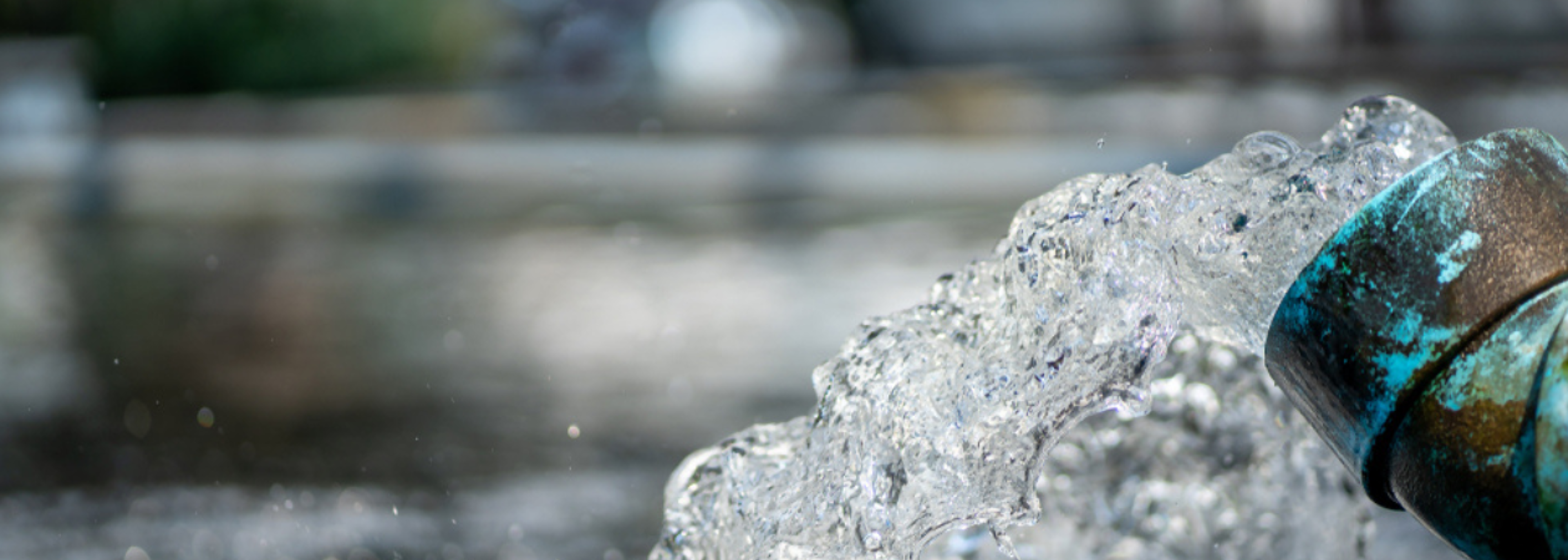 Southern Water fined for raw sewage pollution in Hampshire