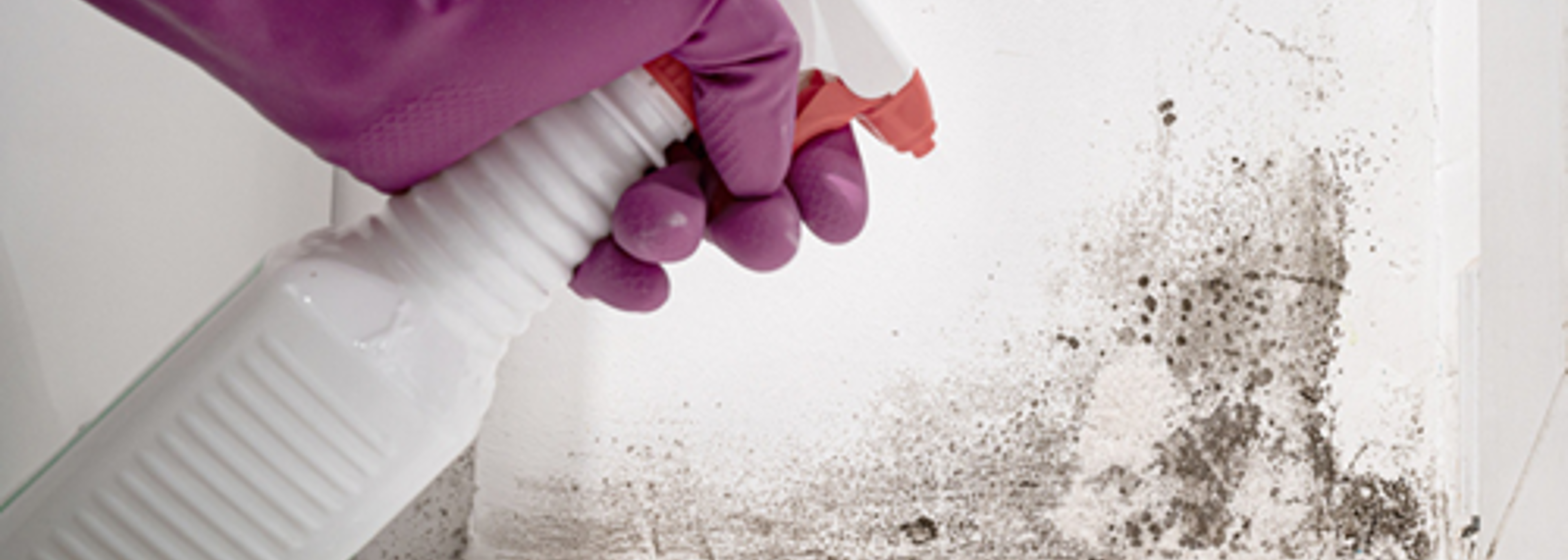 Damp rented homes are increasing children’s risk of ill health