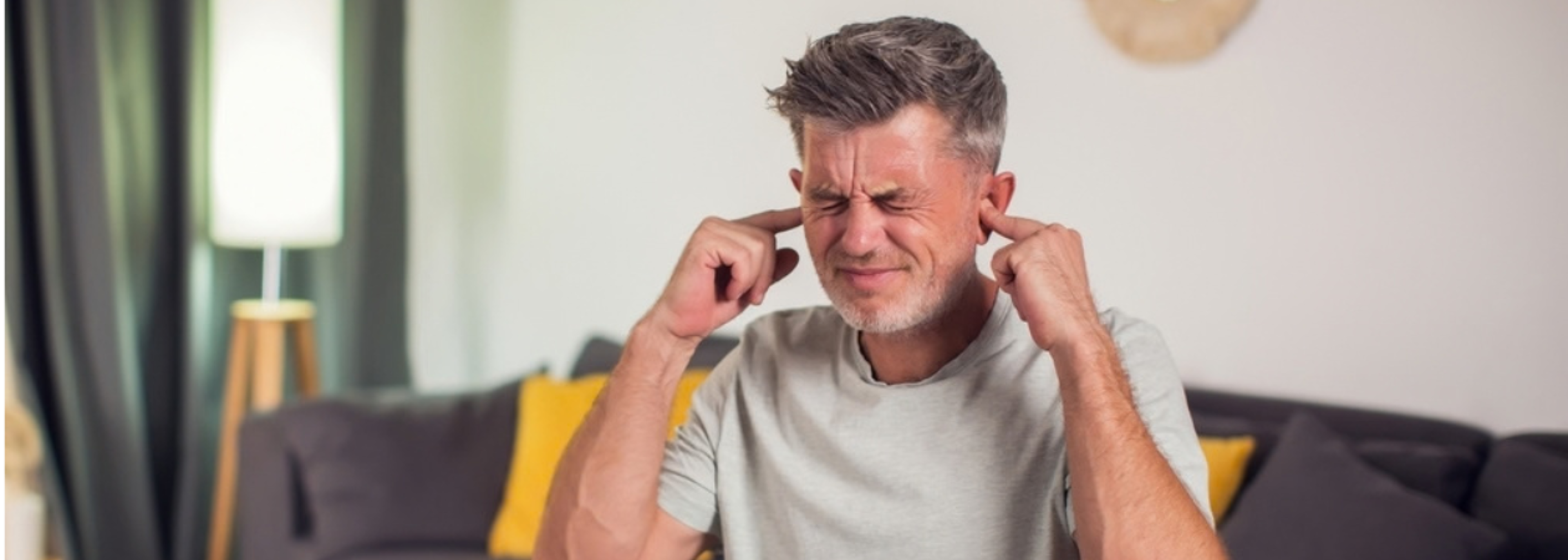 Noise has greatest impact on lower earners