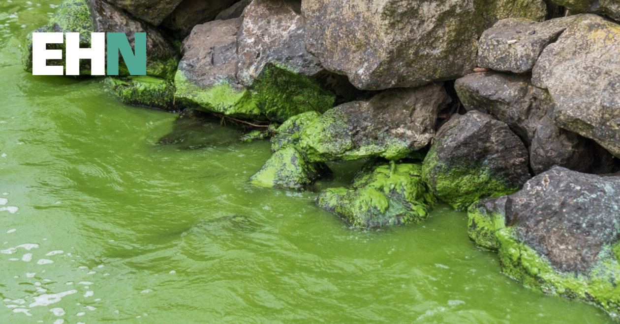 AMR concerns raised in major UK water source