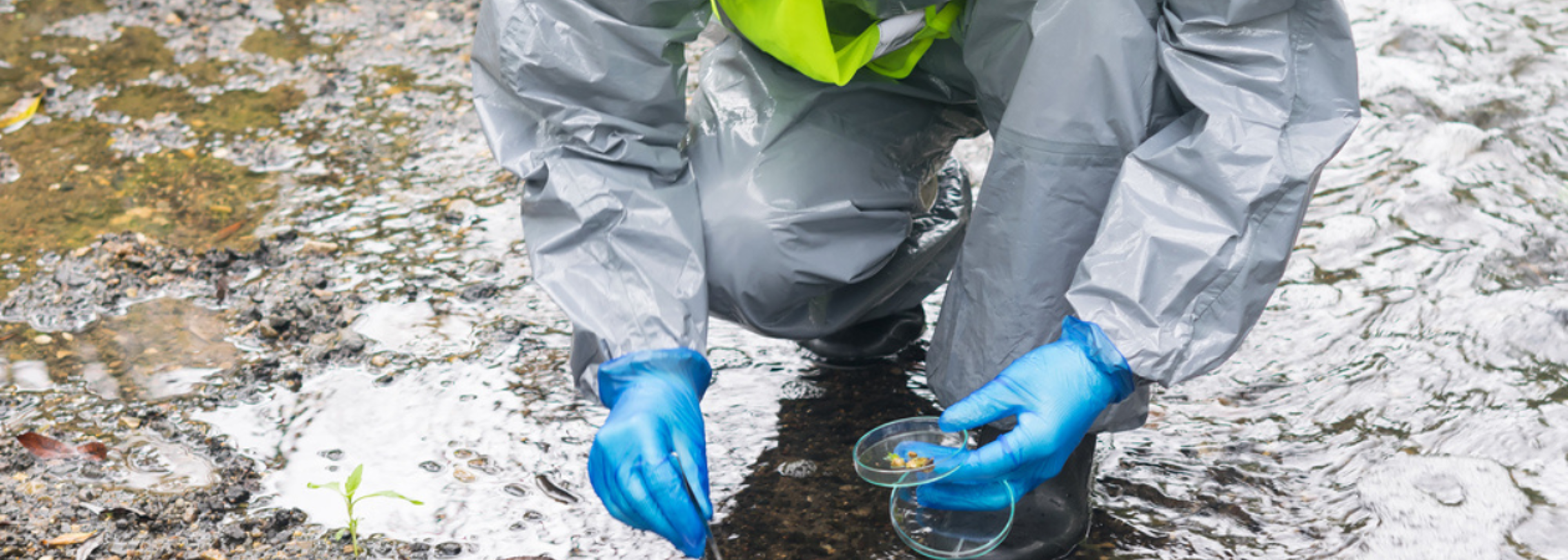 Angling Trust data reveals another year of river pollution
