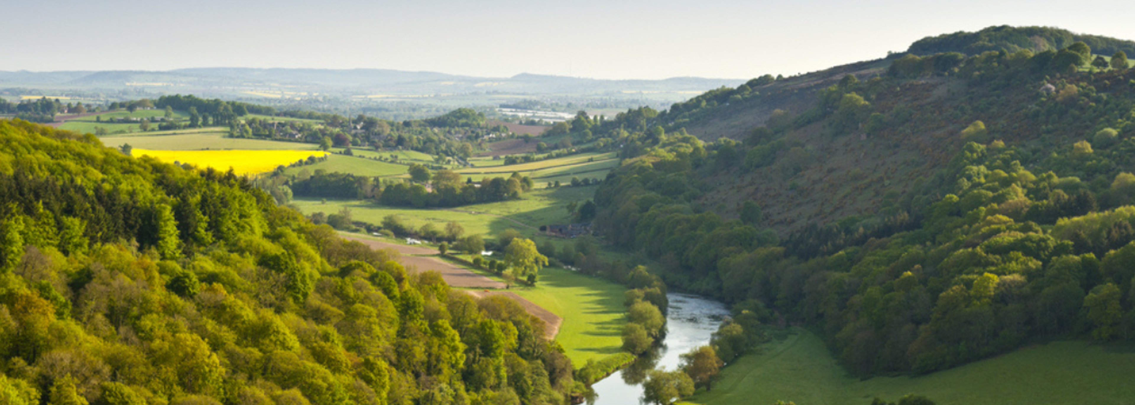 Court hears that River Wye is at risk of ecological collapse