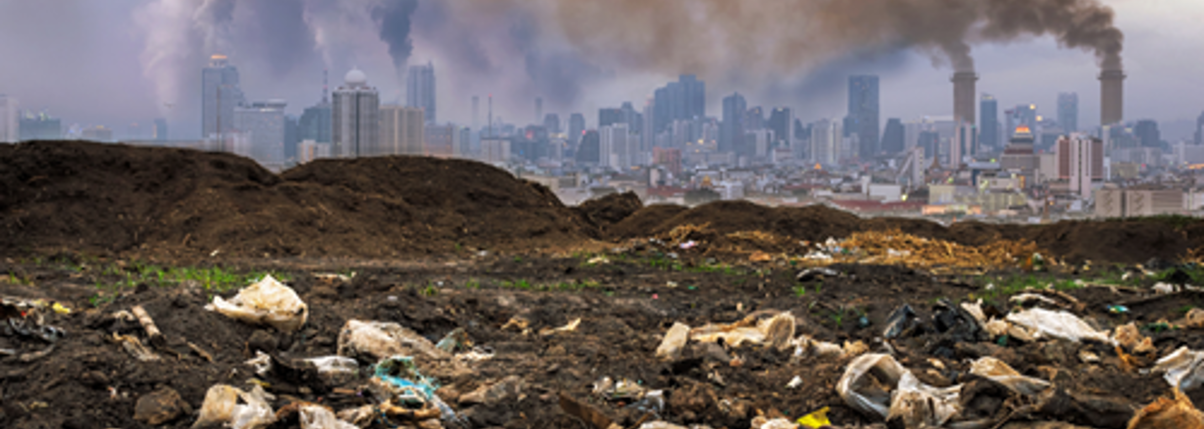 Councils need urgent funding to prepare for climate change