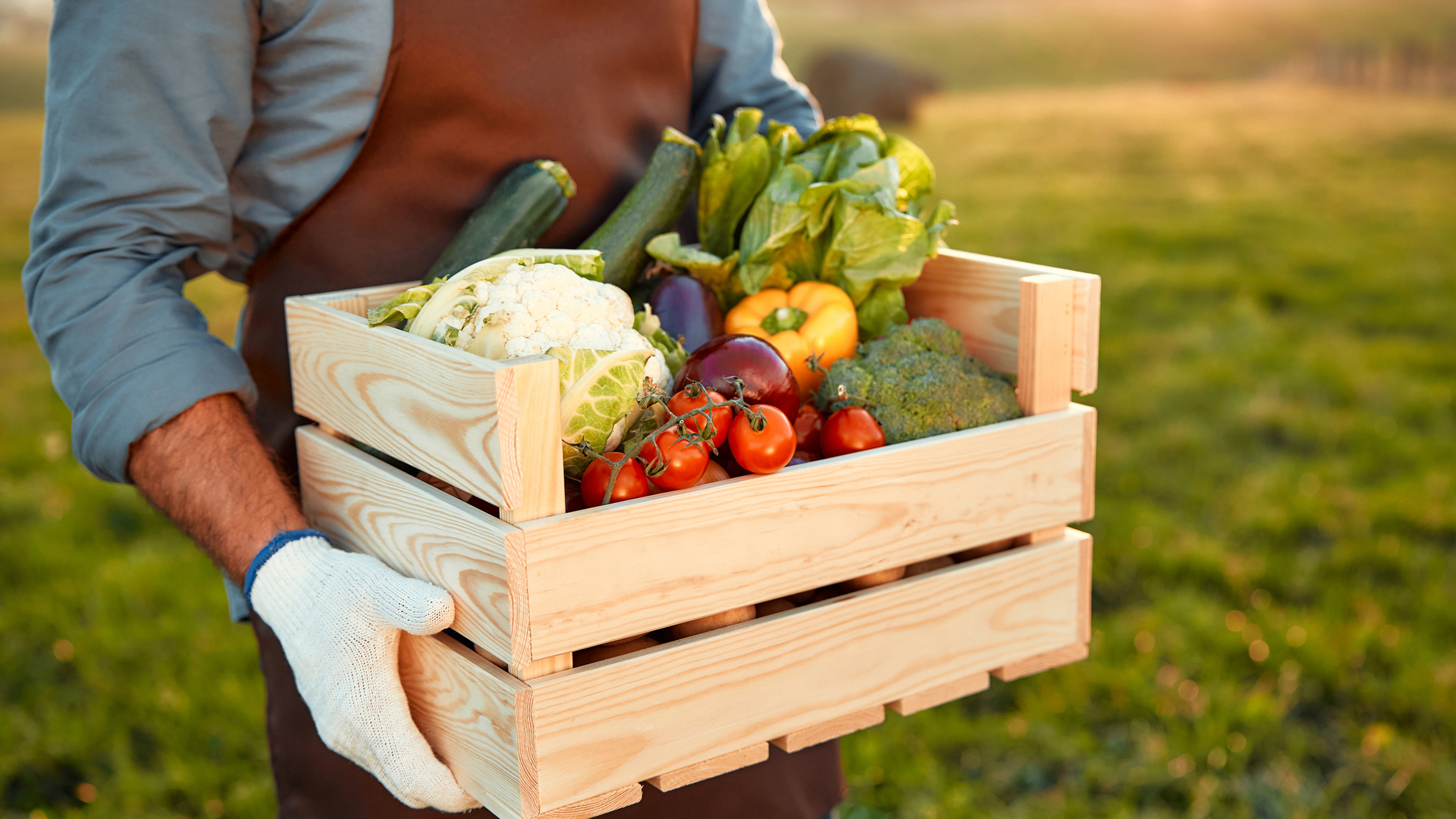 Nutrition and Mental Health