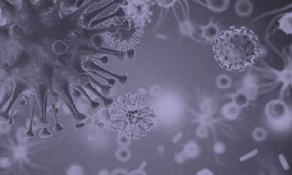 Close up of a virus